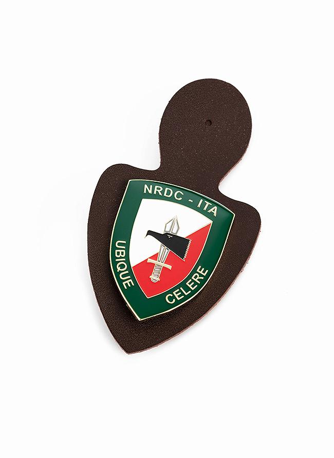 NRDC PIN WITH KNOCKER